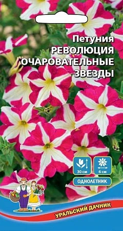 Петуния Революция Очаровательные звезды (УД)