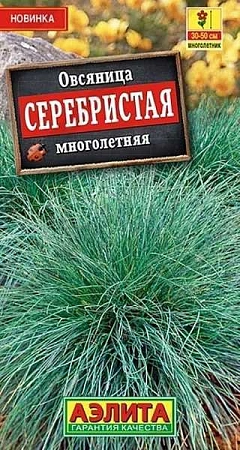 Овсяница Серебристая многолетняя, 5 шт (Аэлита)