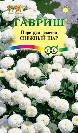 Пиретрум Снежный шар однолетник, 0,01 г (Гавриш)