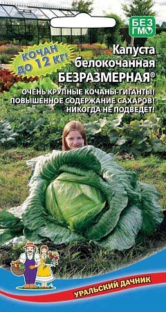 Капуста белокочанная Безразмерная (УД) Капуста белокочанная Безразмерная (УД)
