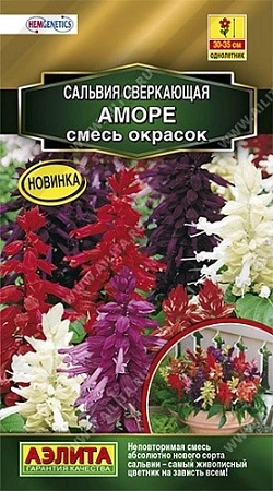 Сальвия Аморе, смесь сортов 7 шт