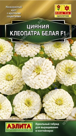 Цинния Клеопатра F1 белая, 12 шт