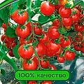 Томат черри Земледелец F1 0,05 г (ПАРТНЕР) Томат черри Земледелец F1 0,05 г (ПАРТНЕР)