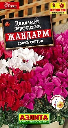 Цикламен персидский Жандарм, смесь сортов 3 шт (АЭЛИТА)