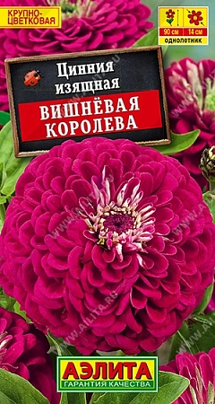 Цинния Вишневая королева 0,3 г (АЭЛИТА)