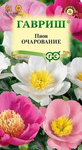 Пион Очарование молочноцветковый многолетник, 3 шт (Гавриш) Пион Очарование молочноцветковый многолетник, 3 шт (Гавриш)
