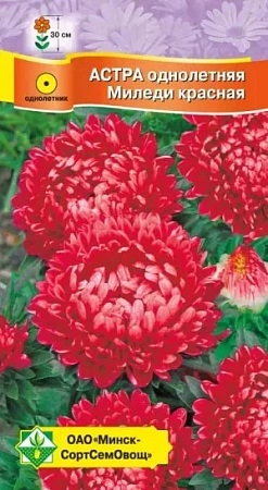 Астра Миледи красная 0,15 г Астра Миледи красная 0,15 г