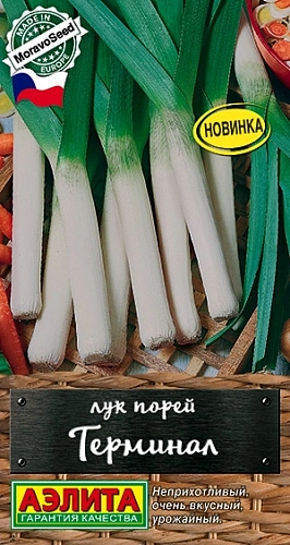 Лук порей Терминал, 1 г (Аэлита) Лук порей Терминал, 1 г (Аэлита)