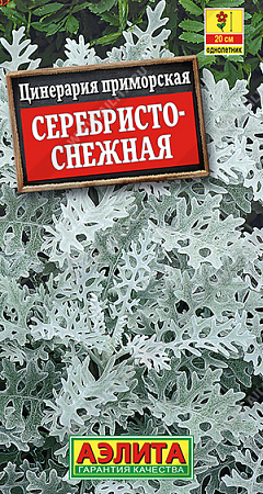 Цинерария Серебристо-снежная, 0,05 г (Аэлита)