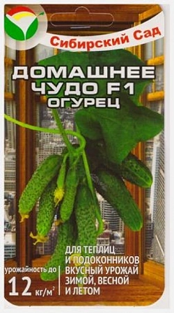 Огурец Домашнее чудо F1, 7 шт (Сиб Сад) Огурец Домашнее чудо F1, 7 шт (Сиб Сад)