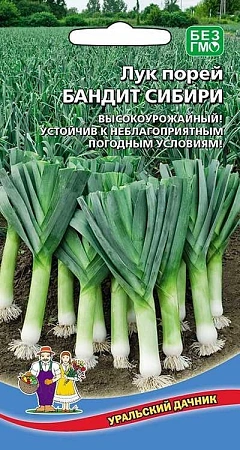 Лук порей Бандит Сибири (УД)