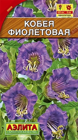 Кобея фиолетовая, 0,5 г (Аэлита) Кобея фиолетовая, 0,5 г (Аэлита)