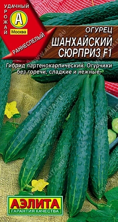 Огурец Шанхайский сюрприз F1, 10 шт (АЭЛИТА)
