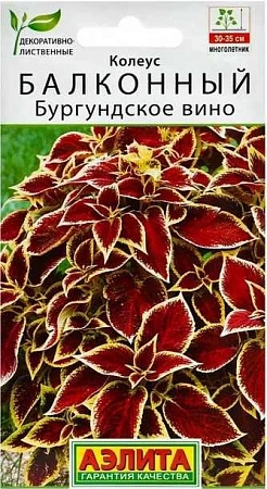 Колеус балконный Бургундское вино, 5 шт (Аэлита)