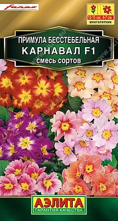 Примула Карнавал F1, смесь сортов 7 шт (АЭЛИТА) Примула Карнавал F1, смесь сортов 7 шт (АЭЛИТА)