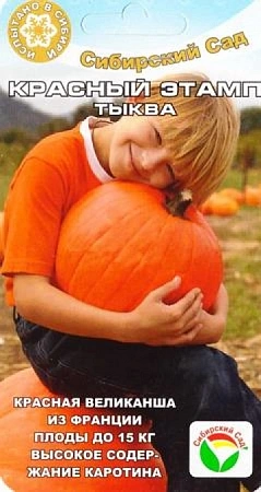 Тыква Красный Этамп, 5 шт (Сиб Сад)