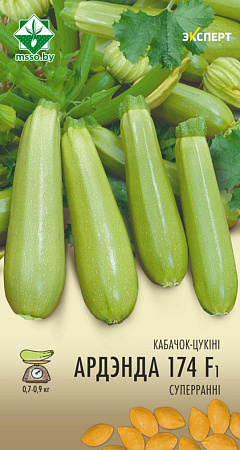Кабачок Ардендо 174 F1, 6 шт (Эксперт) (МССО) Кабачок Ардендо 174 F1, 6 шт (Эксперт) (МССО)