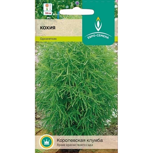 Кохия Летний кипарис 0,5 г (Евросемена) Кохия Летний кипарис 0,5 г (Евросемена)