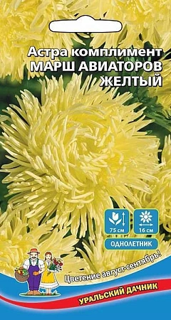Астра комплимент Марш авиаторов желтый (УД)