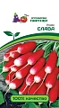 Редис Слава 2 г Редис Слава 2 г