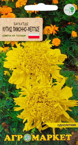 Бархатцы Купид лимонно-желтые прямостоячие, 0,5 г (Агромаркет) Бархатцы Купид лимонно-желтые прямостоячие, 0,5 г (Агромаркет)