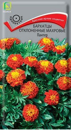 Бархатцы Пантер отклоненные махровые, 0,4 г (Поиск)