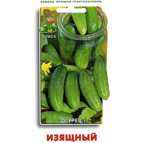 Огурец Изящный, 15 шт (Поиск) Огурец Изящный, 15 шт (Поиск)