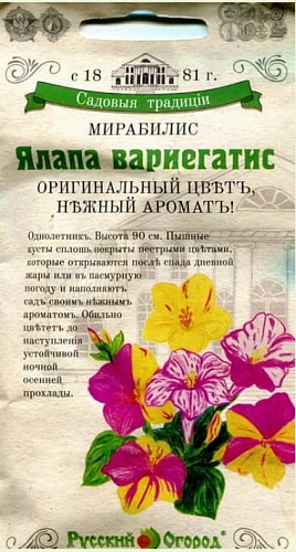 Мирабилис Ялапа Вариегатис смесь 0,2 г Мирабилис Ялапа Вариегатис смесь 0,2 г