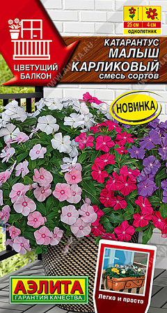 Катарантус Малыш карликовый, смесь сортов 0,05 г (Аэлита) Катарантус Малыш карликовый, смесь сортов 0,05 г (Аэлита)