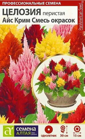 Целозия Айс Крим перистая, смесь 10 шт