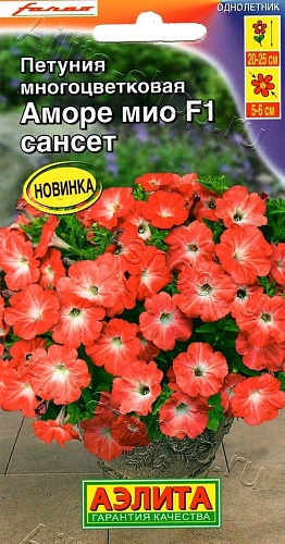 Петуния Аморе Мио F1 сансет 7 шт Петуния Аморе Мио F1 сансет 7 шт