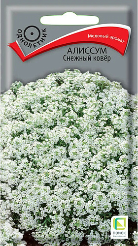Алиссум Снежный ковер, 0,3 г (Поиск) Алиссум Снежный ковер, 0,3 г (Поиск)