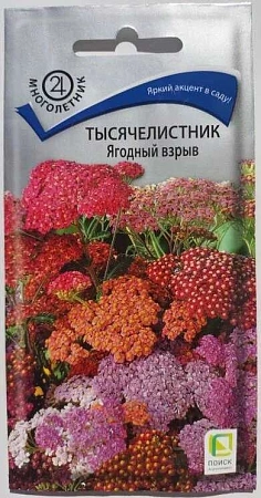 Тысячелистник Ягодный взрыв многолетник, 10 шт (Поиск)
