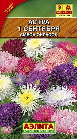 Астра 1 сентября, смесь 0,2 г (АЭЛИТА)