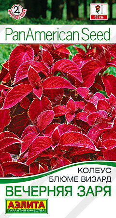Колеус блюме Вечерняя заря, 5 шт (Аэлита)