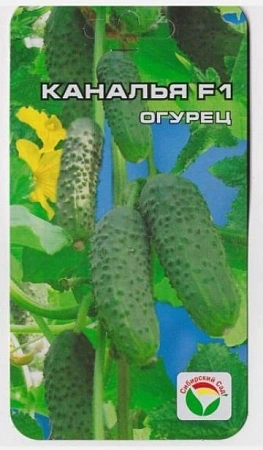Огурец Каналья F1, 7 шт (Сиб Сад)
