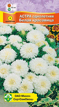 Астра Карликовая Белая красавица, 0,3 г (МССО) Астра Карликовая Белая красавица, 0,3 г (МССО)