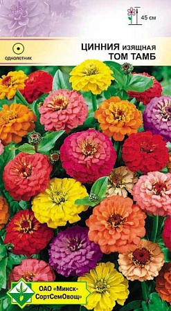 Цинния изящная Том Тамб, смесь 0,3 г (МССО) Цинния изящная Том Тамб, смесь 0,3 г (МССО)