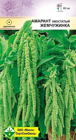 Амарант хвост Жемчужинка, 0,5 г (МССО) Амарант хвост Жемчужинка, 0,5 г (МССО)