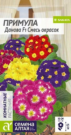 Примула Данова смесь F1, 5 шт Примула Данова смесь F1, 5 шт
