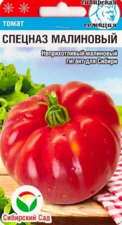 Томат Спецназ малиновый, 20 шт