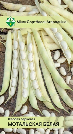 Фасоль Мотольская Белая зерновая, 7 г (МССО) Фасоль Мотольская Белая зерновая, 7 г (МССО)