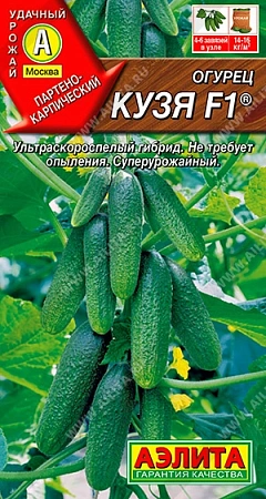 Огурец Кузя F1, 10 шт (Аэлита)