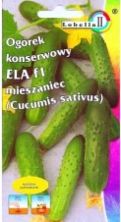 Огурец Эла F1, 5 г LOBELIA II