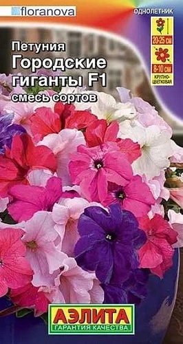 Петуния Городские гиганты F1 смесь крупноцветковая однолетник, 7 шт (Аэлита) Петуния Городские гиганты F1 смесь крупноцветковая однолетник, 7 шт (Аэлита)
