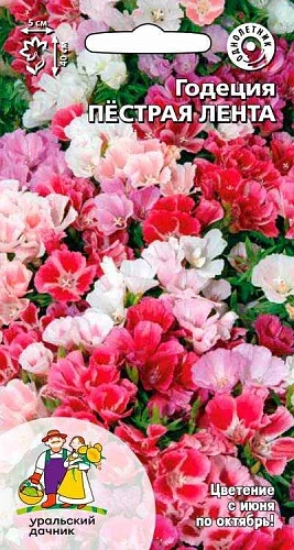 Годеция Пестрая лента (УД) Годеция Пестрая лента (УД)