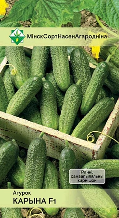 Огурец Коринна F1, 10 шт (МССО) Огурец Коринна F1, 10 шт (МССО)
