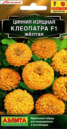 Цинния Клеопатра F1 желтая, 12 шт (АЭЛИТА)