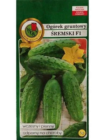 Огурец Сремский F1, 5 г PNOS Огурец Сремский F1, 5 г PNOS
