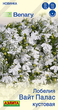 Лобелия Вайт палас кустовая, 5 шт (Аэлита) Лобелия Вайт палас кустовая, 5 шт (Аэлита)